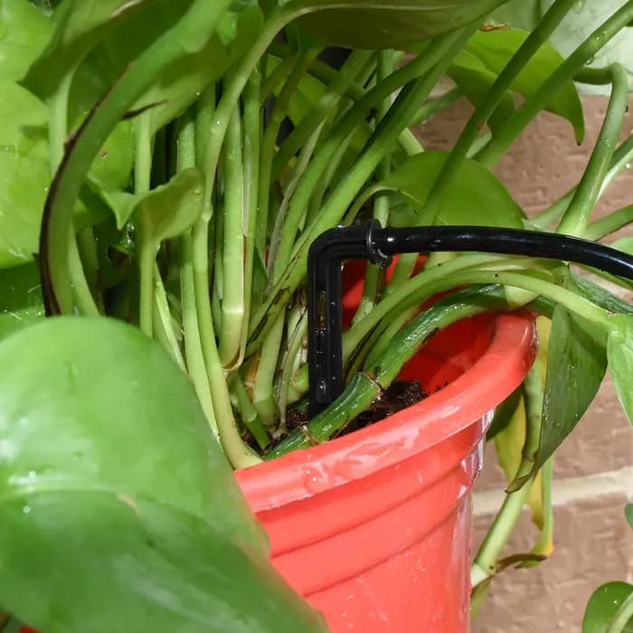 SPRINCLE-Micro système d'irrigation goutte-à-goutte avec perforateur, tuyau en PVC, tube de jardin 1