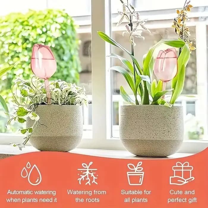 Boules d'arrosage pour plantes en forme de tulipe rose, adaptées aux plantes d'intérieur et d'extéri