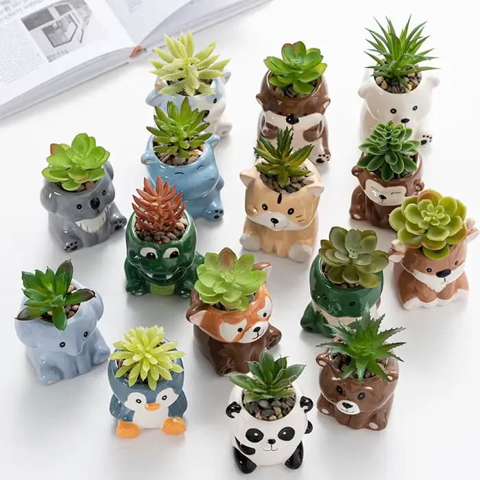 Pot de fleurs charnu mignon de dessin animé Amazon, affichage de bureau le plus vendu, conteneur en