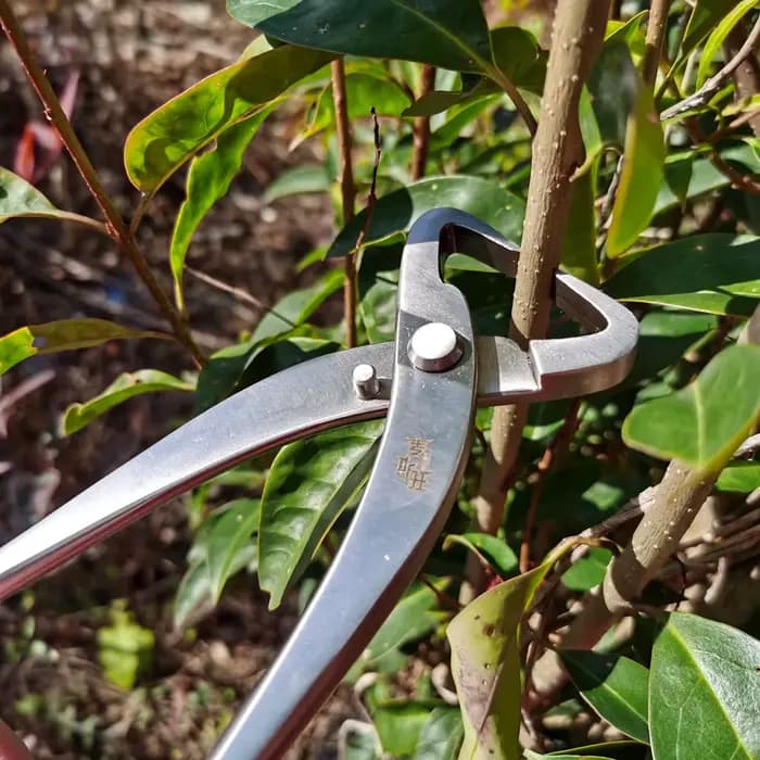 Outil d'élagage de bonsaï, coupe-racine en acier inoxydable de haute dureté, cisaille les Branches, coupe les Branches, pince de jardinage de fleurs