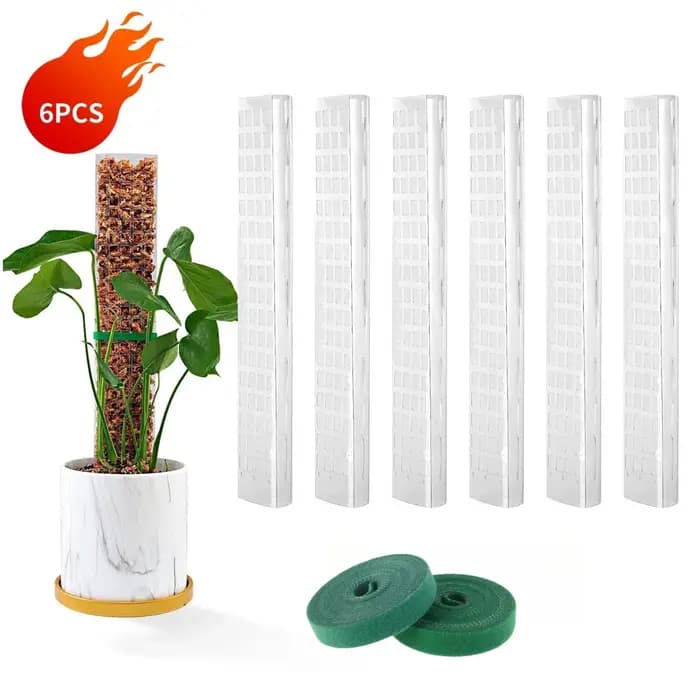 Poteaux de mousse plantes Support