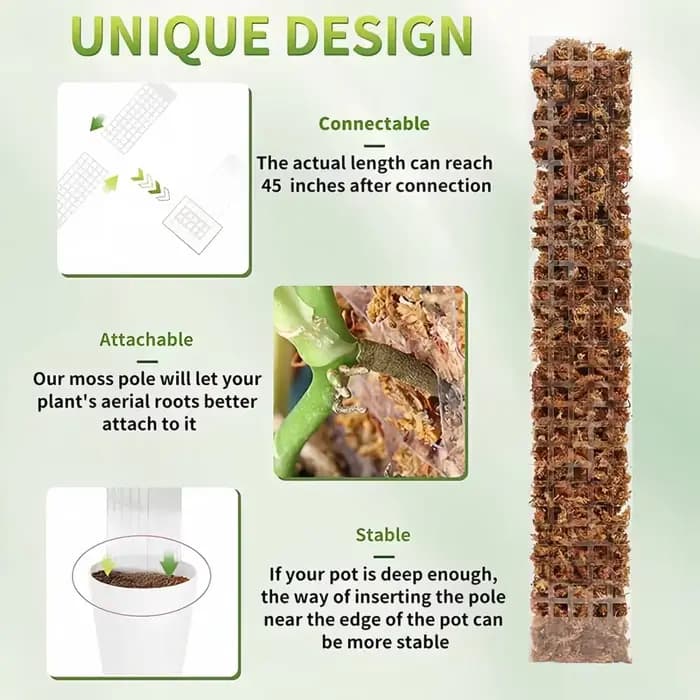 Poteaux de mousse plantes Support de plantes en plastique Transparent réutilisable intérieur bâtons
