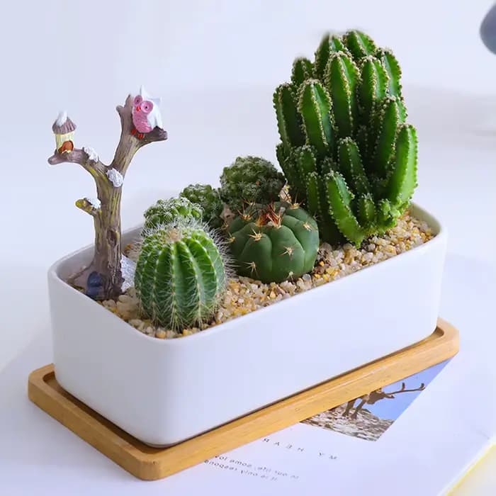 Plateau rectangulaire en bambou naturel, plante succulente, soucoupe, comptoir de salle de bains en bois, organisateur de cuisine, décoration de maison pour cosmétiques