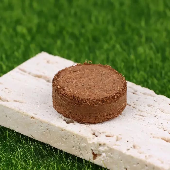 Lot de 5 pièces de fibres de coco compressées pour rempotage