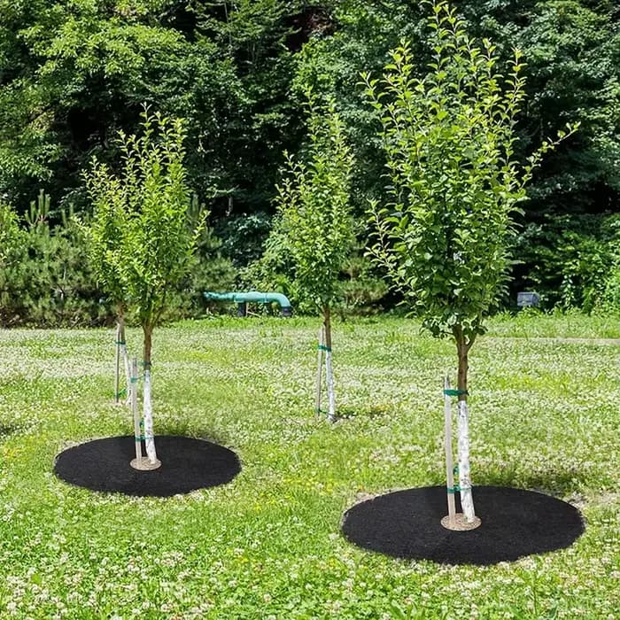 Barrière de désherbage avec anneau de pain d'arbre Non tissé