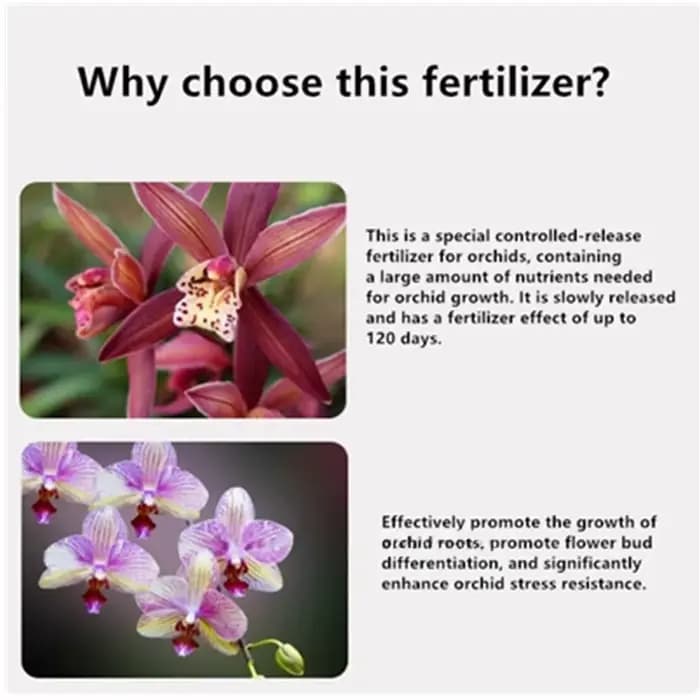 80g/200g Engrais à libération contrôlée spécifique aux orchidées : formule