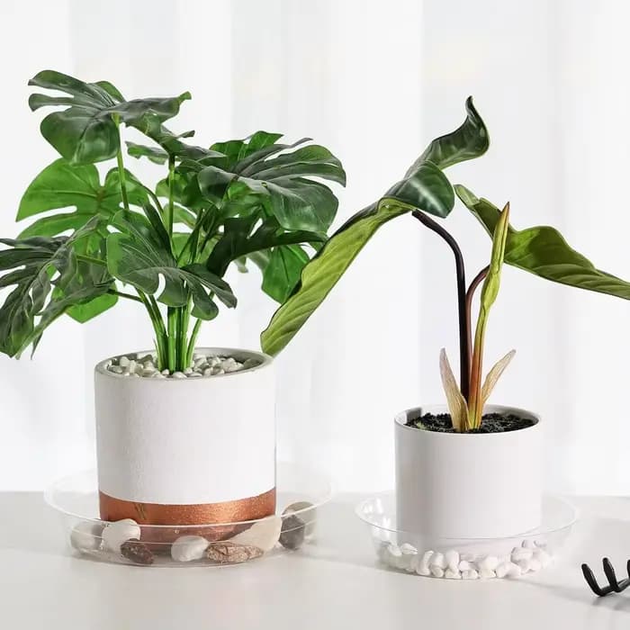 Plateaux d'égouttement de plantes en plastique, ronds et transparents, robustes, pour intérieur et e