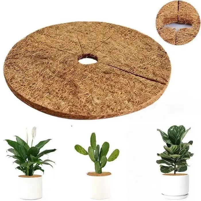Lot de 3 disques de paillis protecteurs en fibres de coco naturelles pour plantes d'intérieur et d'e
