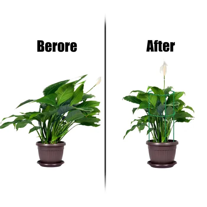 Colonne en plastique pour plantes en pot, 25/40/55/70/85cm, support pour plantes grimpantes, fleurs