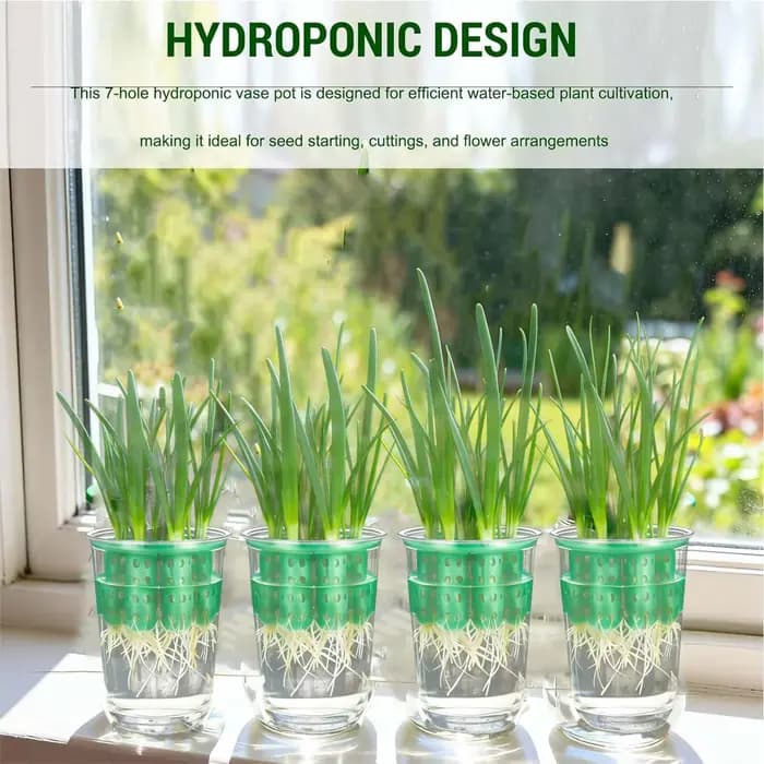 Kit de culture hydroponique réutilisable transparent pour oignon vert
