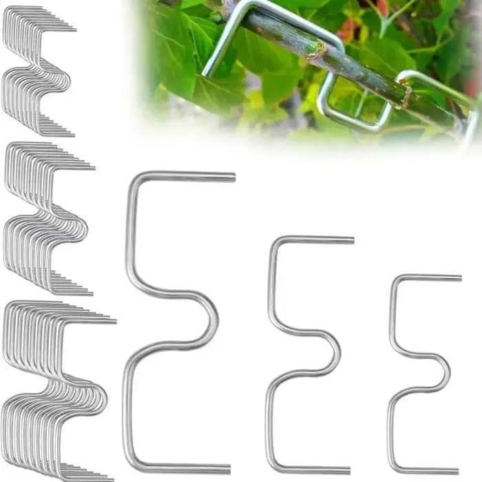 Fixateur de branches d'arbres fruitiers réutilisable