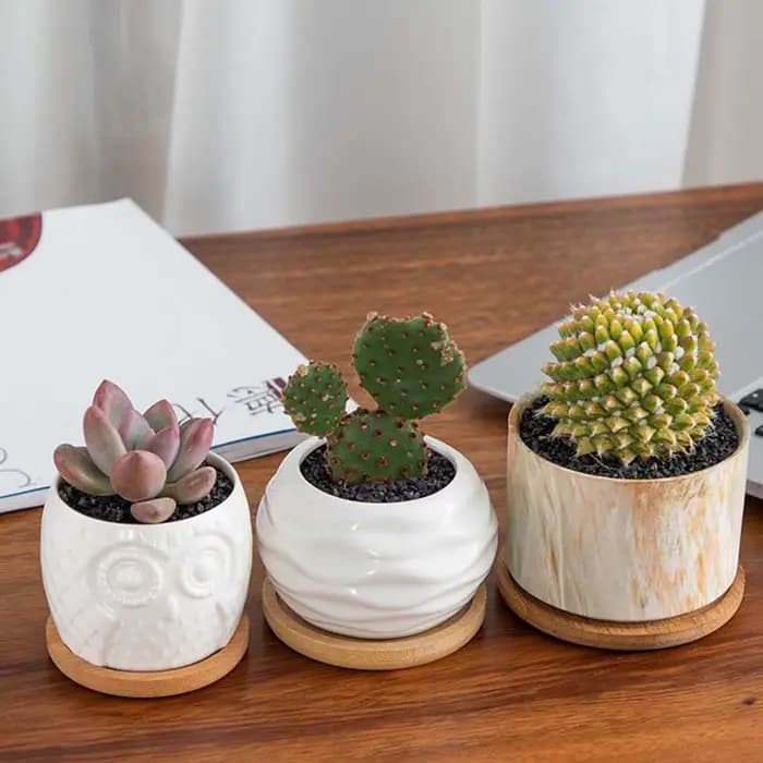 Pot de fleur multi bambou en bois d'escalier, dessous de verre, assiette décorative de cuisine, dess
