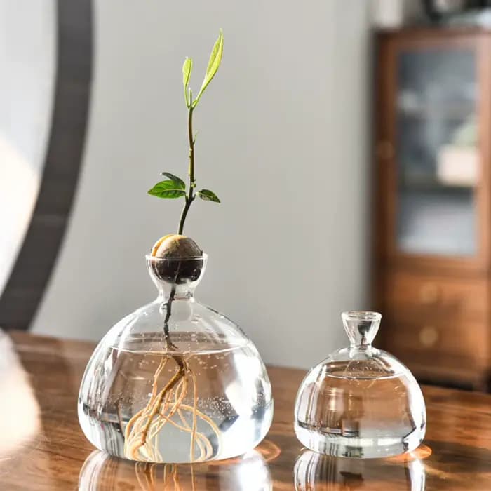 Kit de plantes en verre avec autocollants pour les amateurs de jardinage