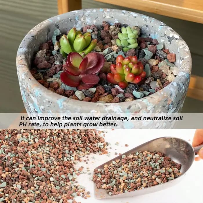 Mélange de galets de roche de lave horticole, pierre ponce, pot de sol, amendement, Cactus succulent