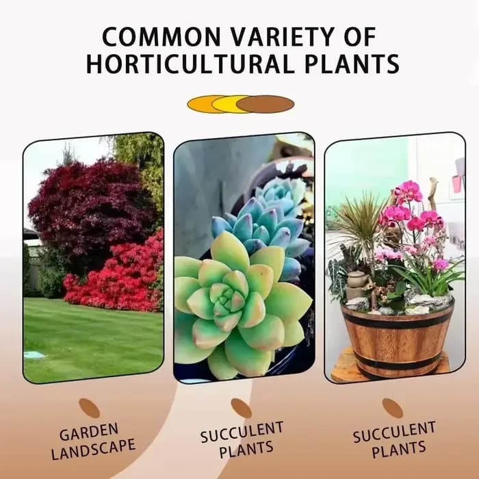 1/2/3/4/5 pièces engrais pour plantes activateur de semis stimuler la croissance