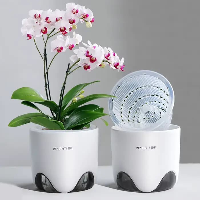 Pot d'orchidée en meshpot avec trous d'air