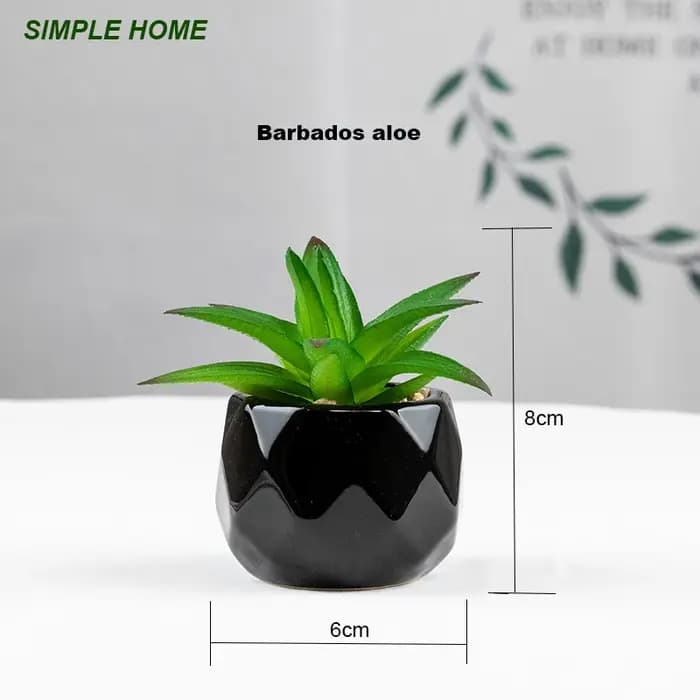 Plantes bonsaï succulentes artificielles avec Pot en poterie