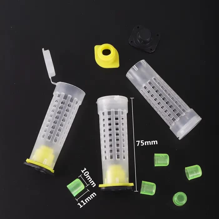1 ensemble d'outils pour abeilles, Cages, système de gobelets d'élevage roi reine, boîte de receveur