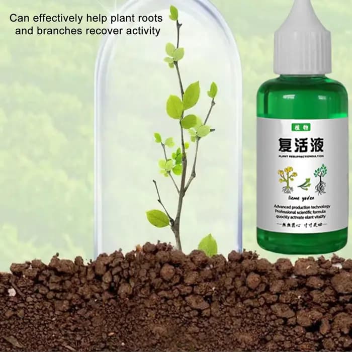 Liquide de résurrection revitalisant pour plantes
