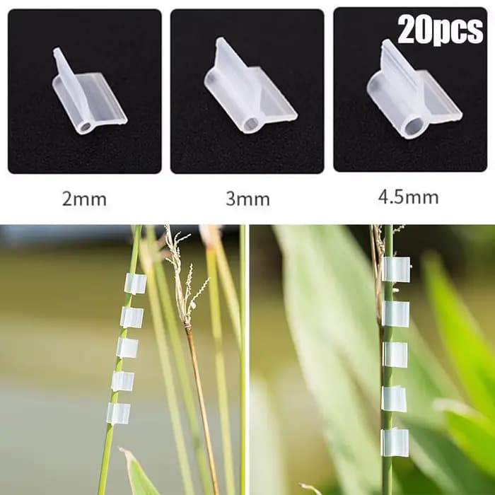 Fixation de Protection solaire vignes greffées 20 pièces Clips de greffage agricole plante de fleur