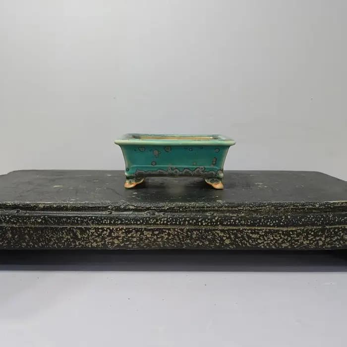 Mini bonsaï émaillé de haute qualité avec forme rectangulaire
