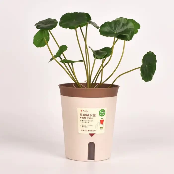 Pot de fleurs hydroponique en plastique auto-absorbant
