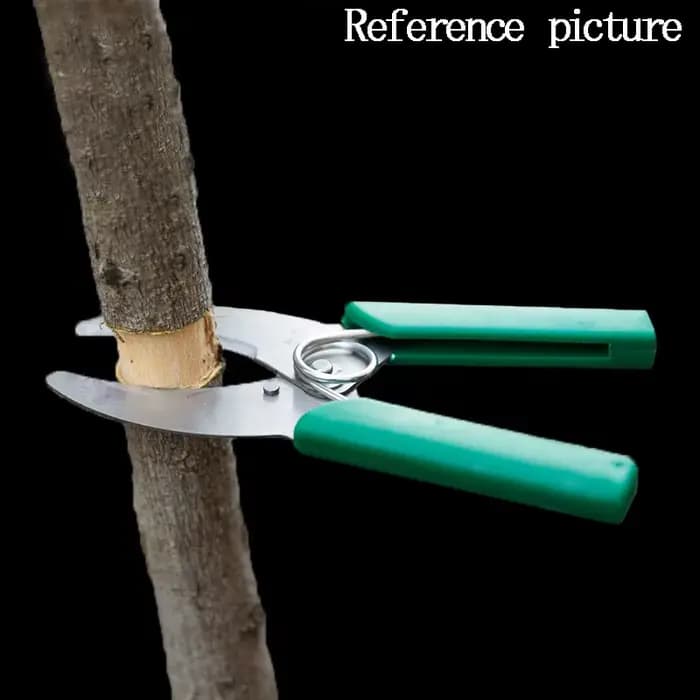 Outil de coupe de greffage en forme d'anneau de jardin, ciseaux de coupe de greffage, verger, épluch