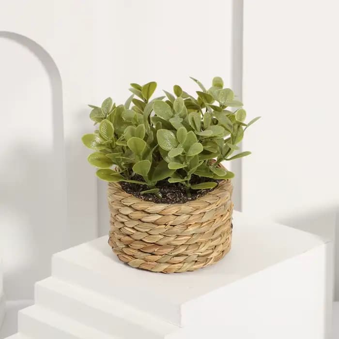 Plante en Pot petites fausses plantes, décoration intérieure pour la maison, Pot décoratif pour salo
