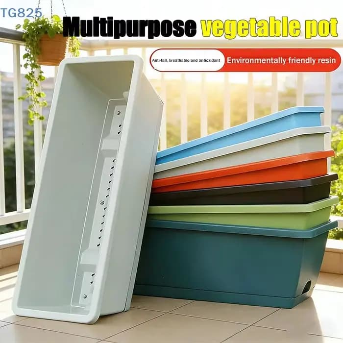 Pot de fleurs auto-absorbant pour culture de légumes d'intérieur avec trou de drainage et corde absorbante
