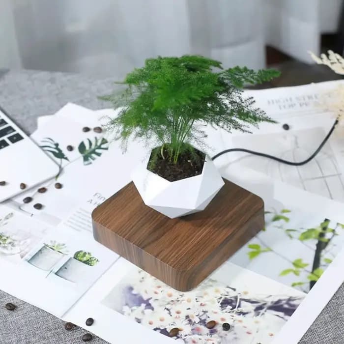 Pot de bonsaï à Air en lévitation, Pot de fleur rotatif, jardinières à Suspension magnétique, Pot fl