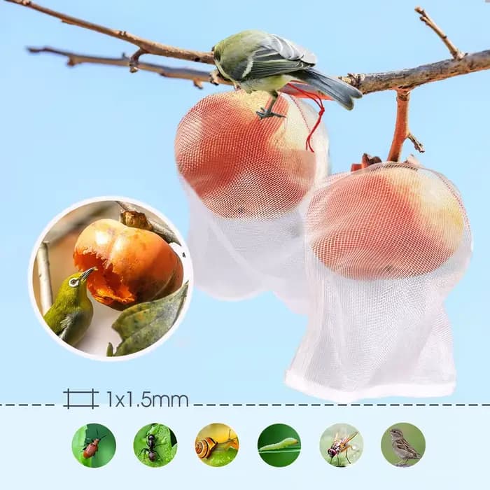 Sacs de protection en nylon réutilisables pour la croissance des fruits, avec ficelle de proximité,