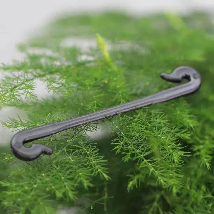 Cages et supports multi-usages pour plantes de jardin, vignes, 200 à 800 pièces, Clips de jardin, bo