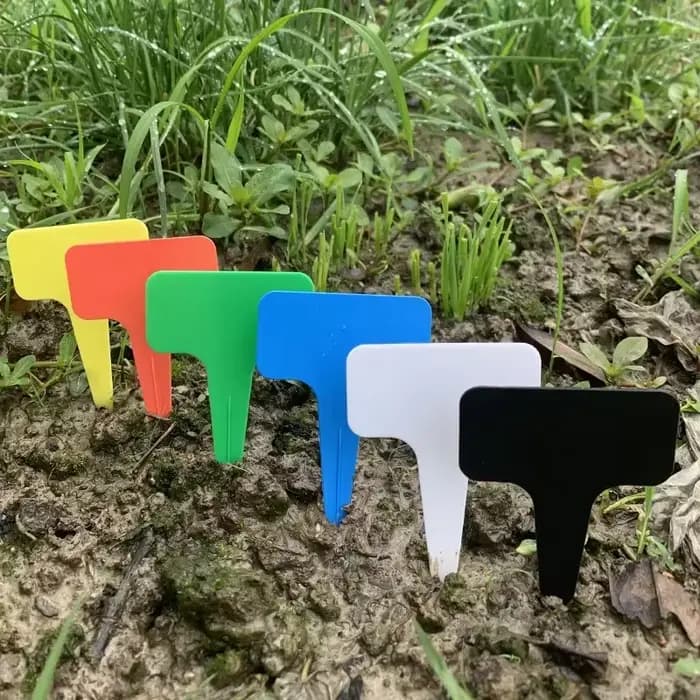 Étiquette en plastique en forme de T pour jardinage