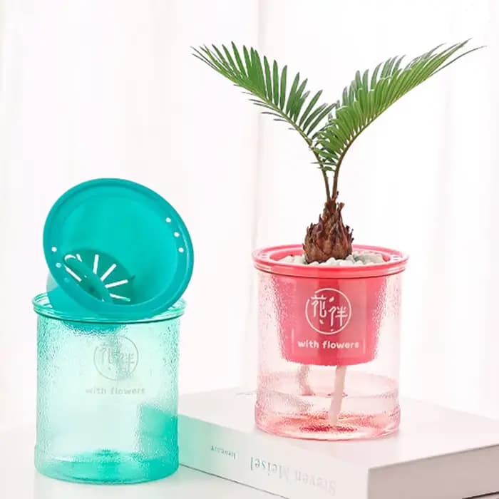Pot de fleurs hydroponique Transparent rond en plastique