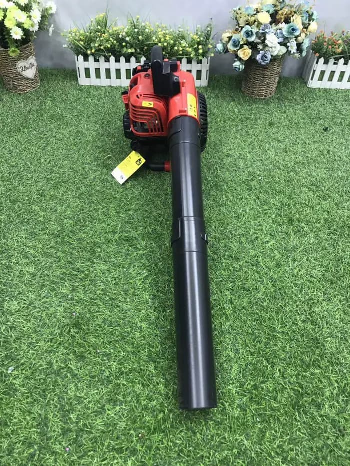 Souffleuse à neige et aspirateur de feuilles 25