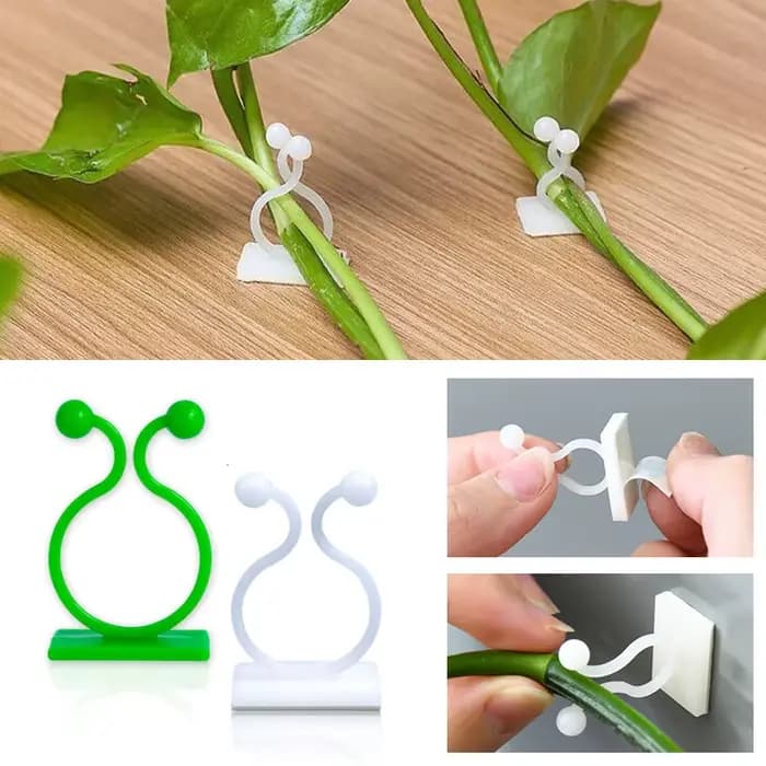 Mur d'escalade pour plantes, fixation à crochet à boucle fixe auto-adhésive, fixation attachée, croc