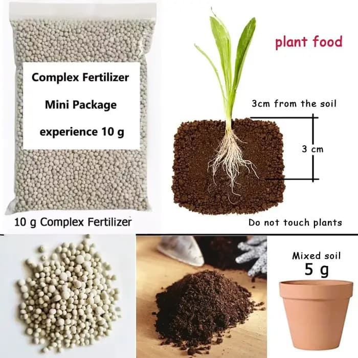 10 g d'engrais complexe NPK azote-phosphate-potassium Mini paquet à usage sûr et sans Pollution utilisation fleur plante alimentaire