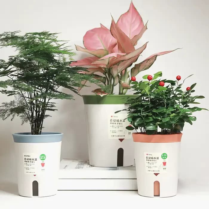Pot de fleur hydroponique à double couche auto-arrosant