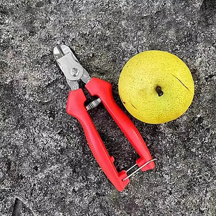 Ciseaux de jardin ergonomiques pour arbres fruitiers