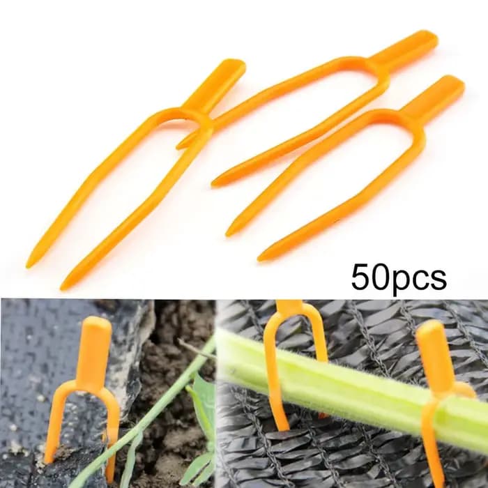 Support de plantes grimpantes en plastique, support de plantes, support de vignes, pinces pour fleur