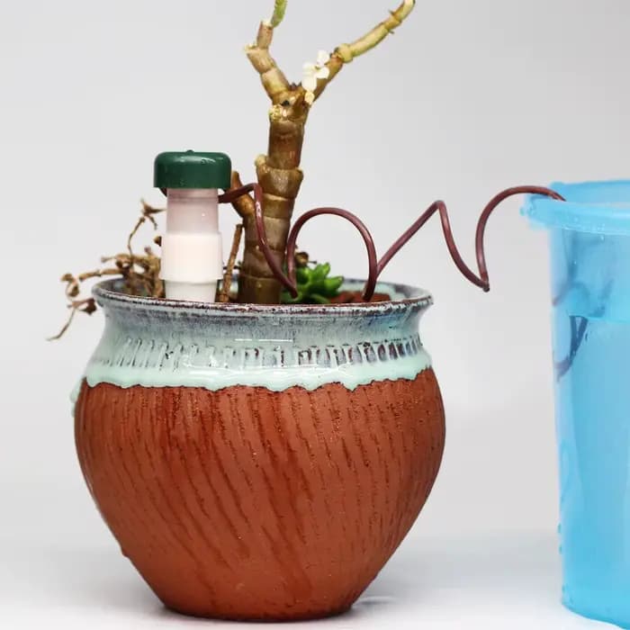 Système de dispositif d'arrosage goutte-à-goutte, outil d'arrosage de fleurs pour Pot de plantes d'i