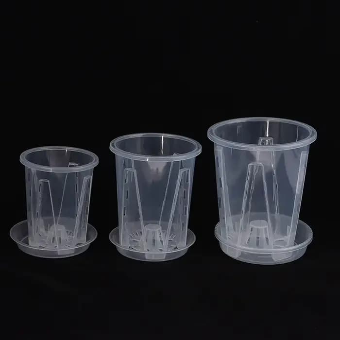 Pot de Fleur Transparent avec Escalade pour Plantation d'Orchidées Phalaenopsis