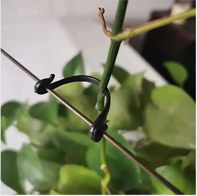 Clip de fixation pour plantes de vigne, 100 pièces, Clip de fixation pour plantes de jardinage, Clip