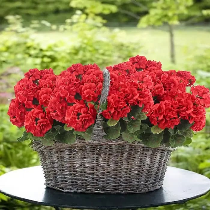 Fleurs artificielles bégonia fleur mariage nuptiale bouquets maison chambre table jardin extérieur bonsaï décorations bricolage festival couronnes