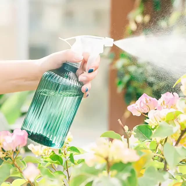 Arrosoir pulvérisateur pour jardinage, bouteille de pulvérisation de 500ml, pulvérisateur de brouill