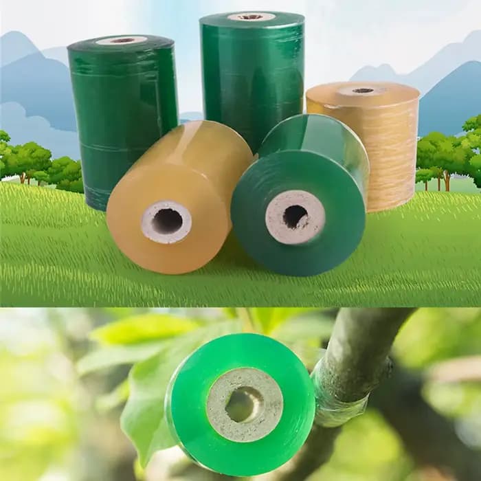 Film à membrane de greffage d'arbres fruitiers, bande de protection des plantes, film auto-adhésif,
