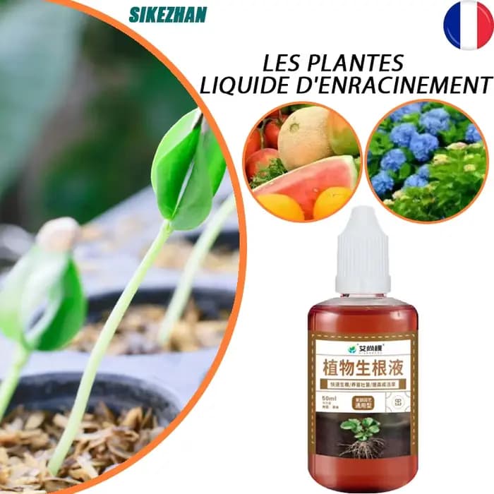 Activateur de semis d'engrais végétal pour la croissance des plantes, boutures d'arbres pour l'enrac
