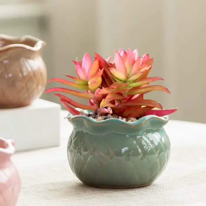 Pot de fleurs en céramique grand bouton de fleur forme Vase