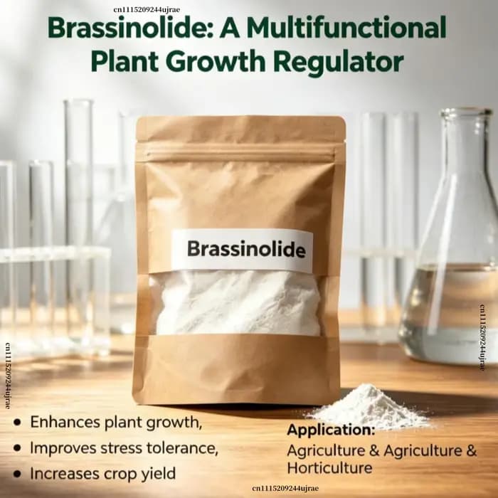 Brassinolide Régulateur de croissance des plantes Engrais organique foliaire