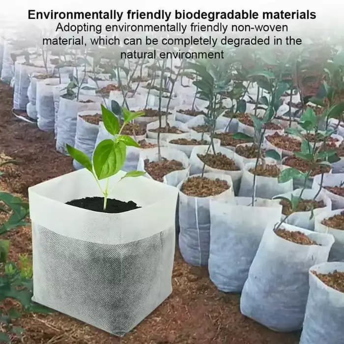 Time to Garden : paquet de 100 sacs de pépinière de graines respectueux de l'environnement